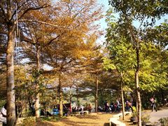 -田野绿世界