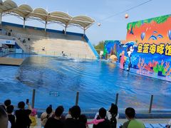 -北戴河圣蓝海洋公园