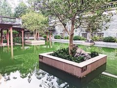 -广州神农草堂中医药博物馆