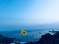 -枸杞岛