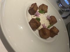 -蝶舍·MAISON PAPILLON