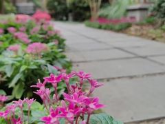 -花锦堂·隐庐