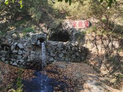 -宁波市保国寺古建筑博物馆