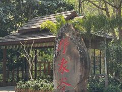 -野象谷景区