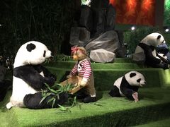-成都泰迪熊博物馆