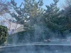 -徂徕山森林康养度假谷温泉