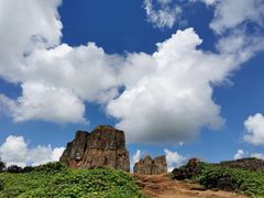-海南热带野生动植物园
