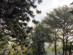 -广州市白云山风景名胜区