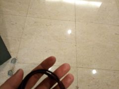 -楚灶王(徐东店)