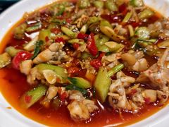 -重庆火锅水库鱼庄(南油店)