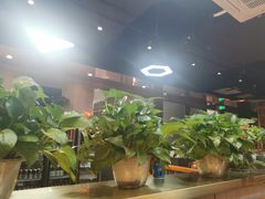 -马家大院铁锅炖(京粮广场店)