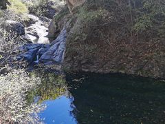 -云岫谷游猎自然风景区