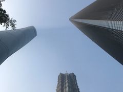 -上海柏悦酒店·世纪100牛排馆