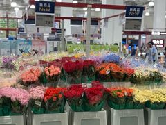 -山姆会员商店(上海浦东店)