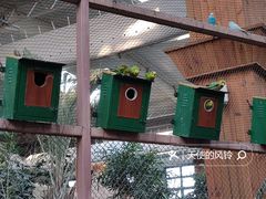 -南宫五洲植物乐园