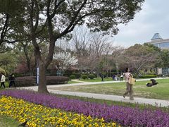 -复旦大学本部-食堂