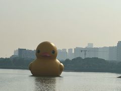 -深圳湾公园(南山区)