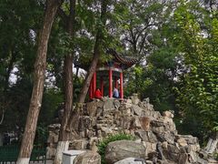 -莲湖公园