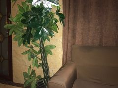 -辣螃铠盆盆蟹大排档(海昌店)