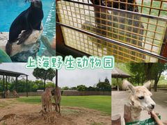 -上海野生动物园