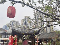 -铁像寺水街