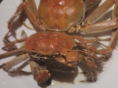 -星伦多自助料理(永旺店)