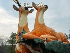 -南京银杏湖乐园