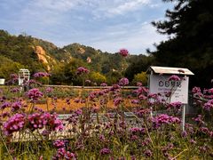 -云峰山自然风景区