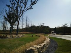 -盘龙城国家考古遗址公园