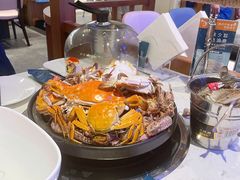 -半岛听涛蒸汽海鲜自助(K11店)