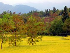 -塔川景区