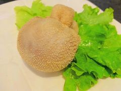 -诺敏塔拉奶茶-布里亚特包子-手把肉(锦都会店)