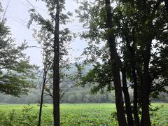 -黄河小浪底水利枢纽风景区