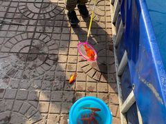 -方庄体育公园