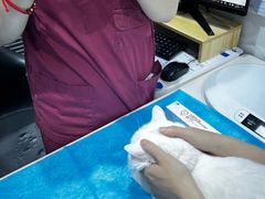 -伟伟宠物医院·CT影像中心·瑞派犬猫综合性门诊(汉口总院)