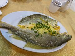 姜汁蒸黄花鱼-炡坊黄鳝饭(骏丰大厦店)
