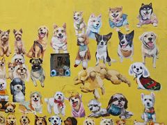 -1013 PET SHOP 宠物商店(近铁城市广场店)