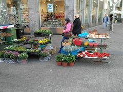 -耶拉契奇总督广场