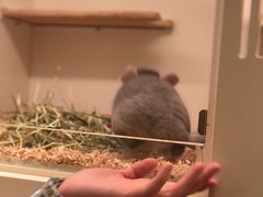 -龙猫仔乐园(惠福东路店)