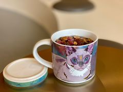 -飞行喵MR PILOT|猫舍·猫咖(静安大融城店)