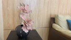 -小珂丽格医疗美容