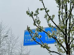 -佳园路(地铁站)