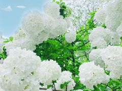 -大龙山(地铁站)