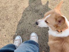 -星巴克(钦江路店)