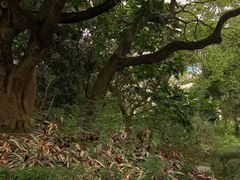 -九龙公园