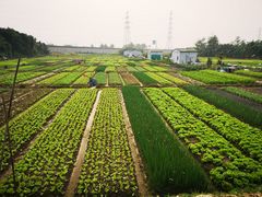 -会江钓鱼钓虾烧烤场