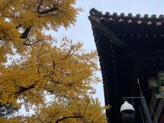 -红螺寺