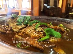 中原黄河大鲤鱼-大地烙馍村(商城路店)