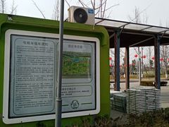 -桂溪生态公园