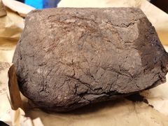 -王四酒家苏帮菜馆(观前店)